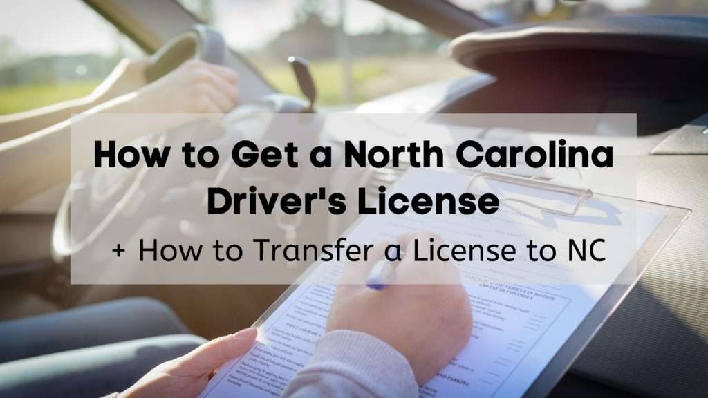 Get Your Driver's License, Drive Testing